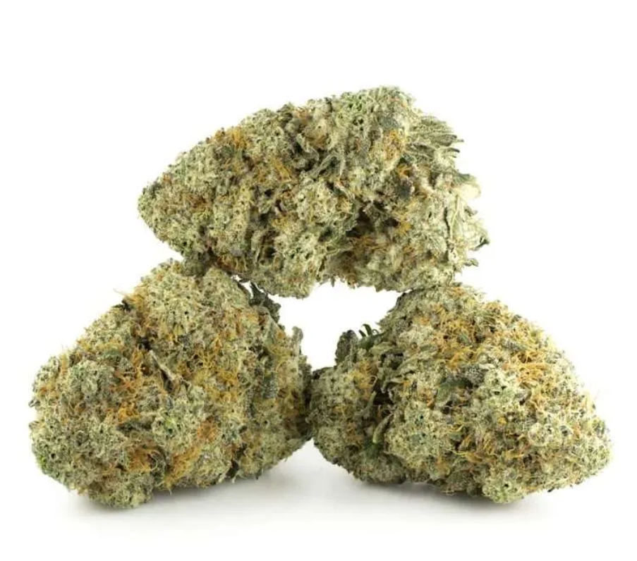 Bruce Banner Bruce Banner