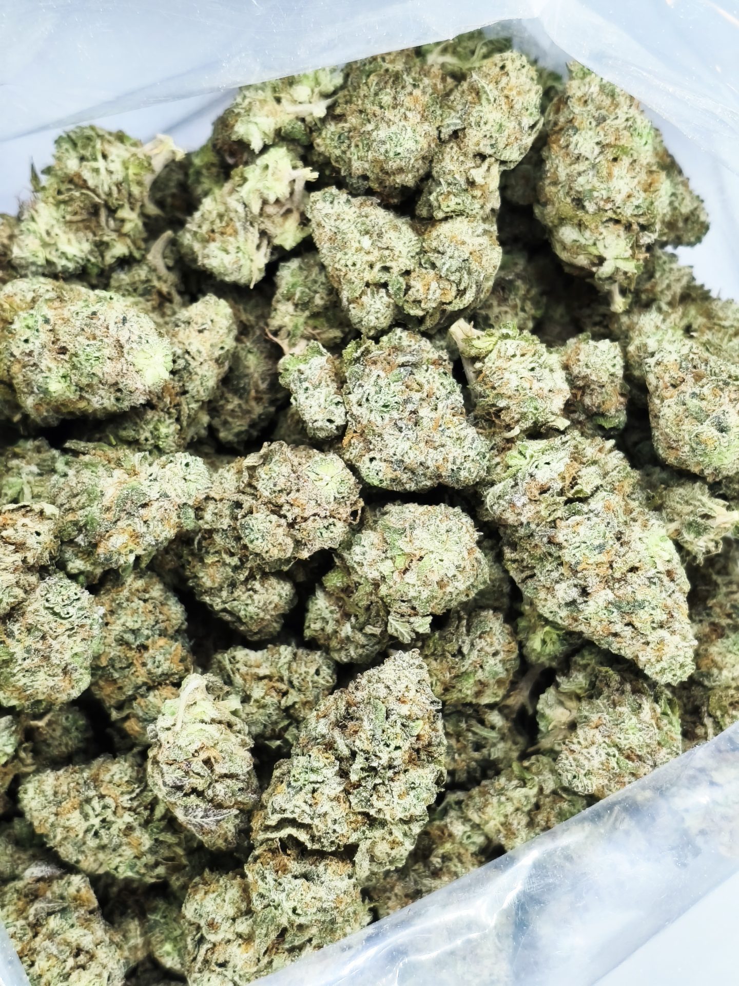 IMG_20261007_222211 frosty og