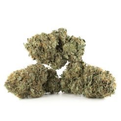 Tuna Kush (AAAA)