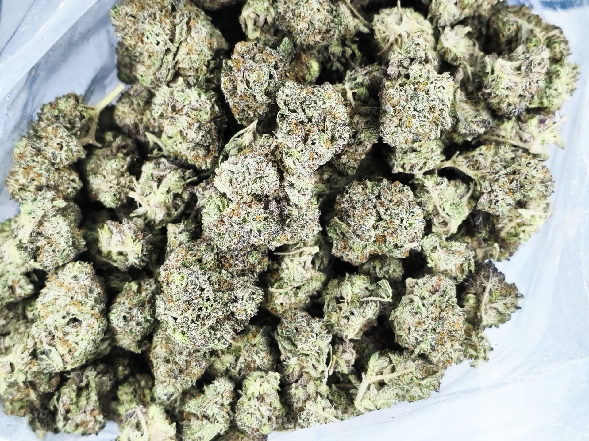 IMG_20261007_222320 cali gold