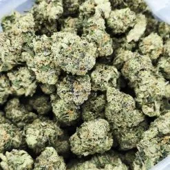 elmer's glue