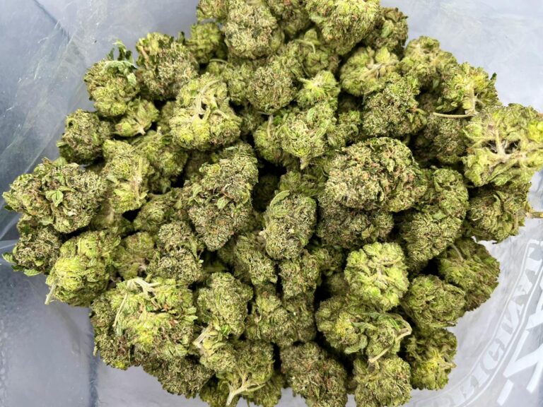 bubba-x-skunk