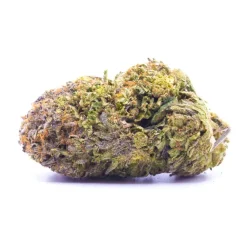 pine tar Dense cannabis bud with vibrant colors.