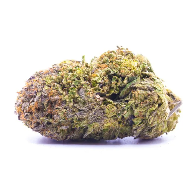 pine tar pine tar Dense cannabis bud with vibrant colors.