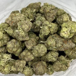 pine tar Dense green cannabis buds piled together