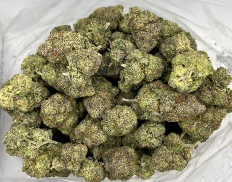 pine tar pine tar Dense green cannabis buds piled together