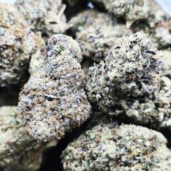 black tuna kush