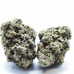 black tuna kush